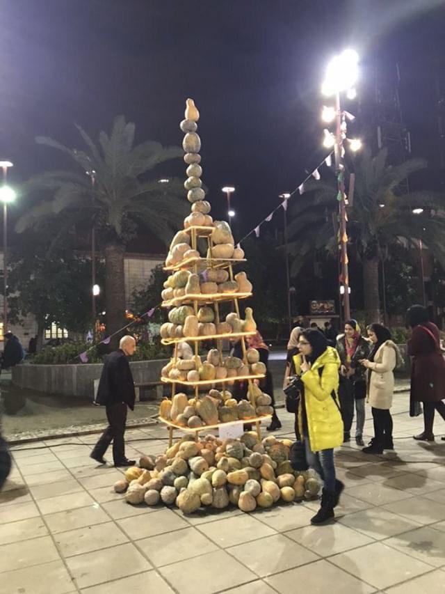 photo_2018-11-27_09-06-17