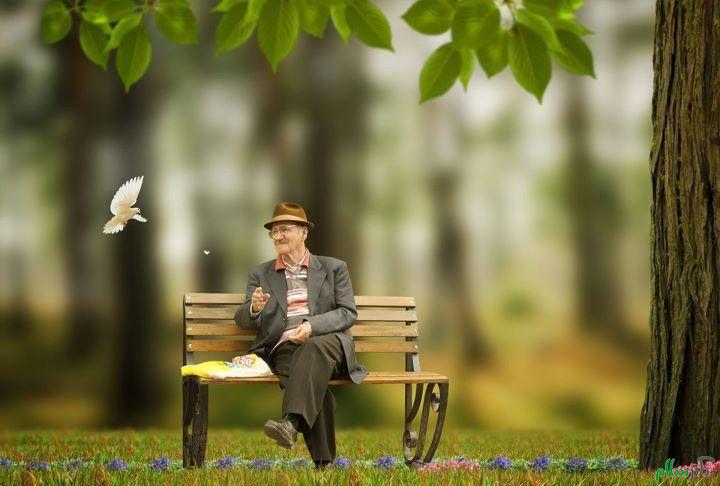 نرخ پایین رشد جمعیت در گیلان/ ۹ درصد جمعیت سالمند هستند
