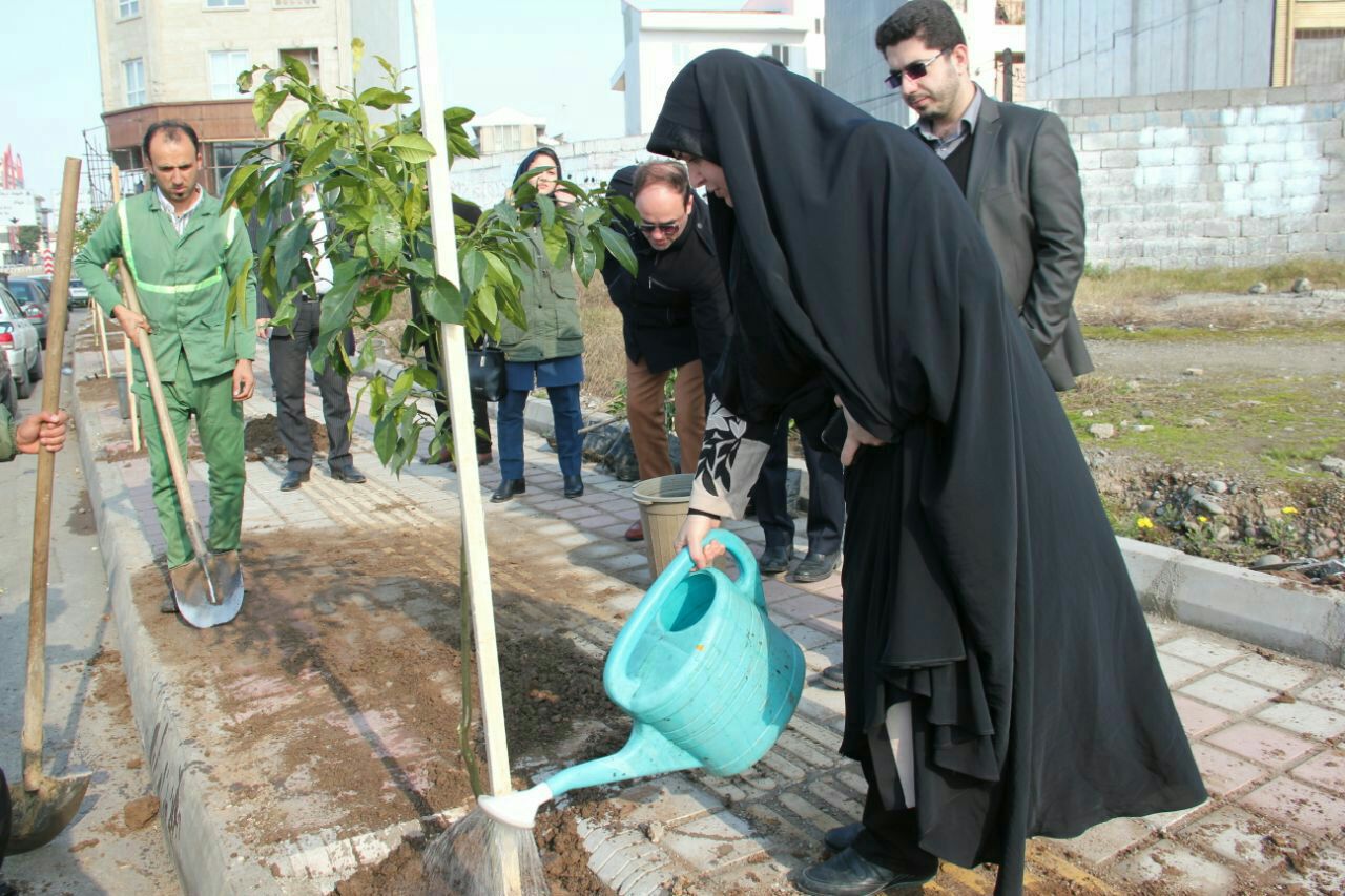 کاشت نهال نارنج در بلوار شهید حبیب زاده