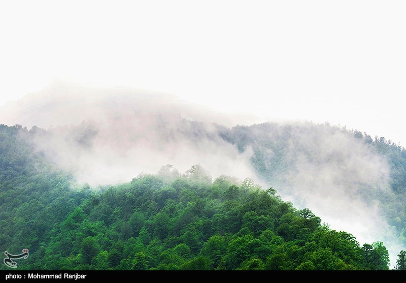 جست‌وجوی ۲ جوان مفقودشده در جنگل‌های گیلان بی‌نتیجه مانده است