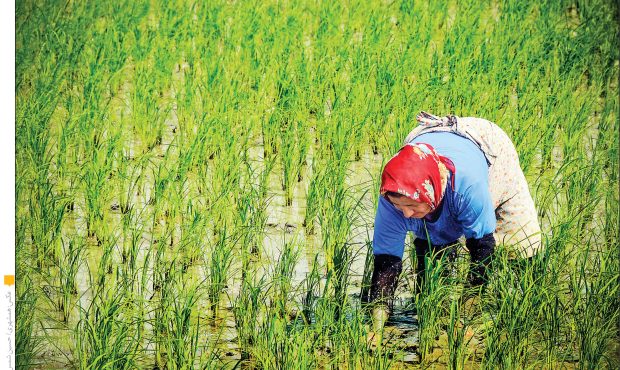 حقوق زنان گیلان از مردان کمتر است | بیکاری در میان زنان جوان بیداد می‌کند