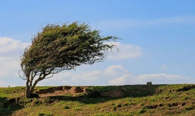 وزش باد گرم در گیلان